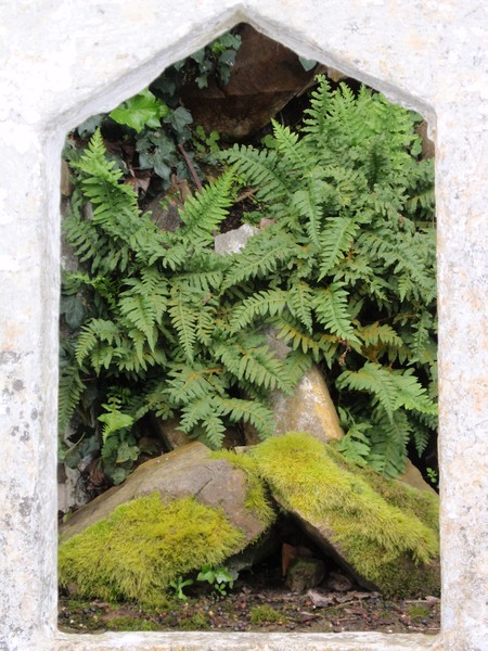 Picture Framed