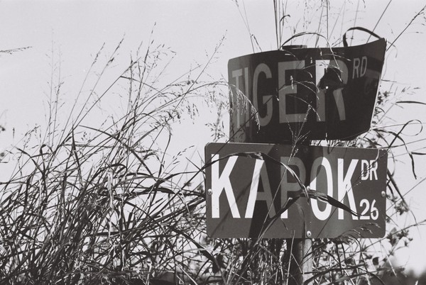 Signs
