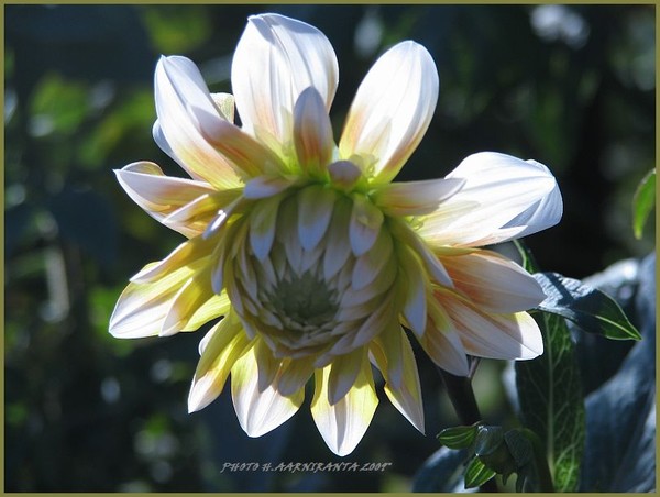 ..smiling ...shining...soulsolutions