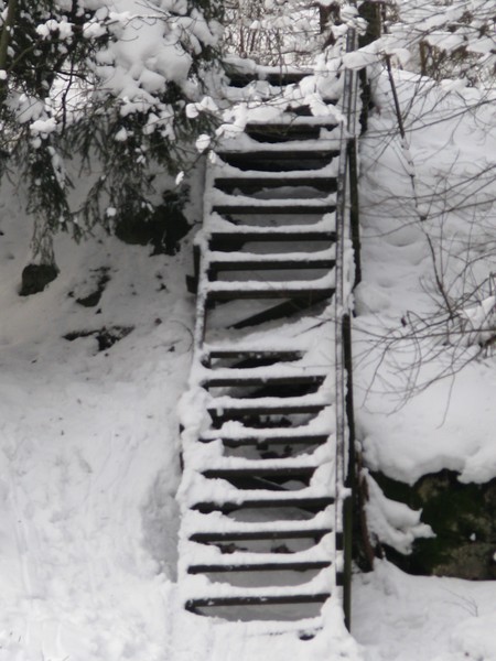 .forwards..step by step..winter city