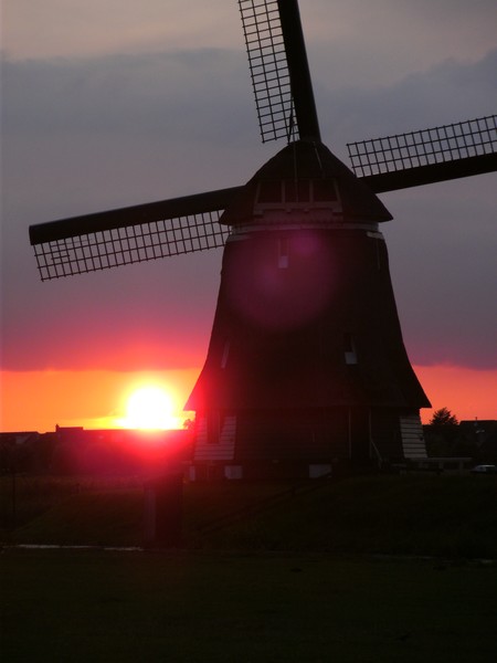 WIND AND SUN
