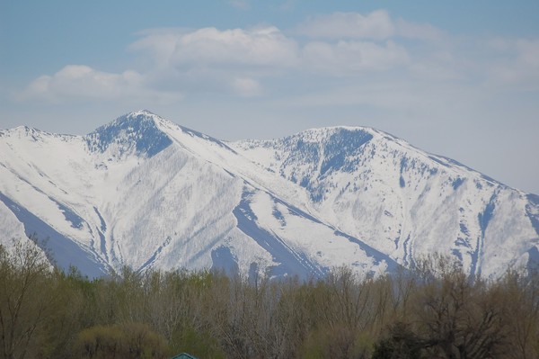 Springtime or winter?