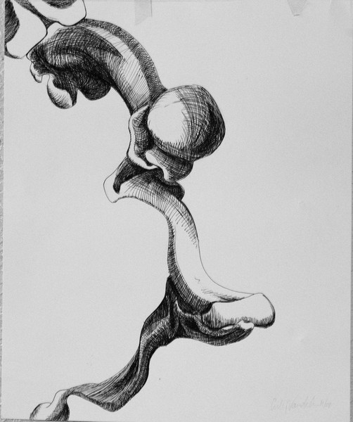 Bones 2