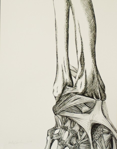 Bones 7