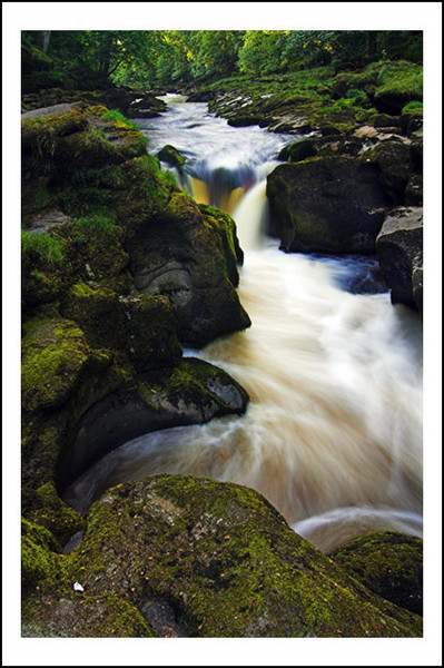 The Strid, Bolton Abbey