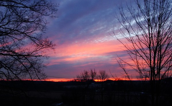 from my window