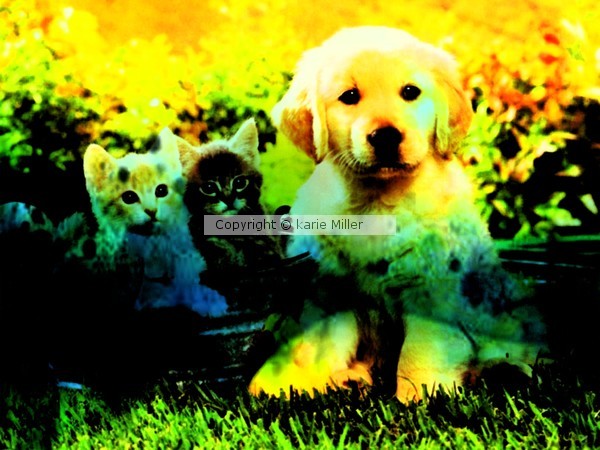 sooooooooooooo cute 1