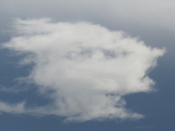 Face of the storm