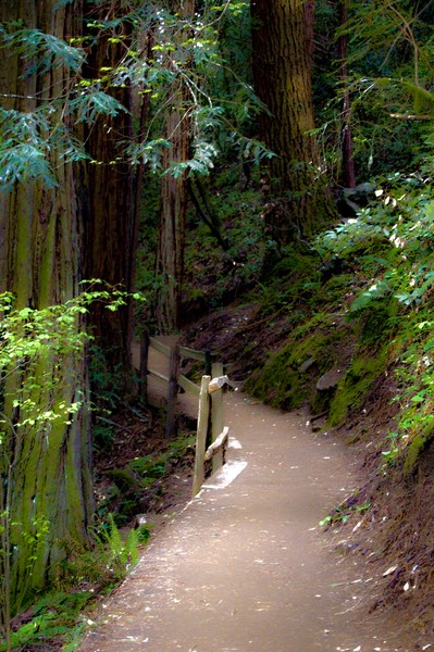 Trail
