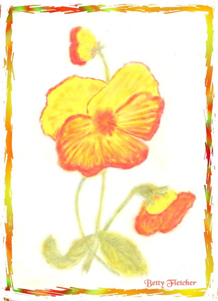 Pastel Flower