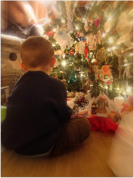 Christmas wonders