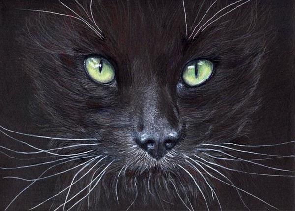 Night Vision