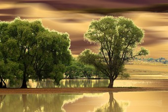 West Bank