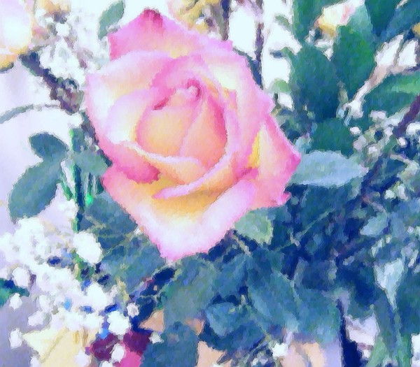 Happy Birthday Trixi