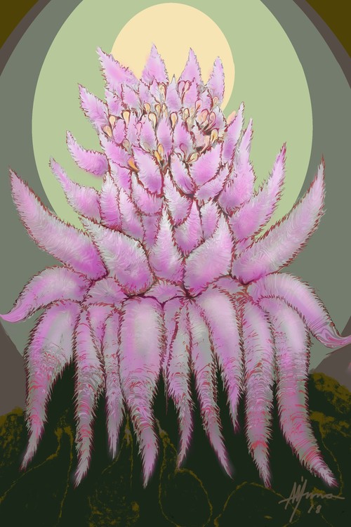EXTRANGE CACTUS