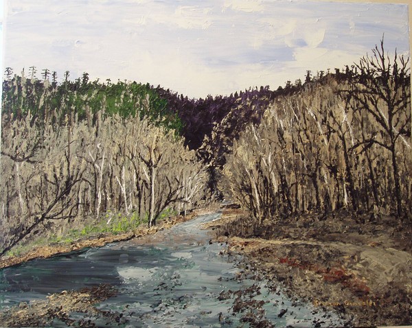 Little Buffalo River #2
