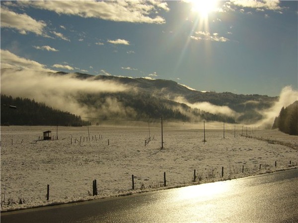 *The first Spring Light*