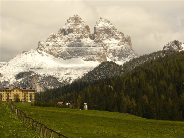 *The White - Green May*