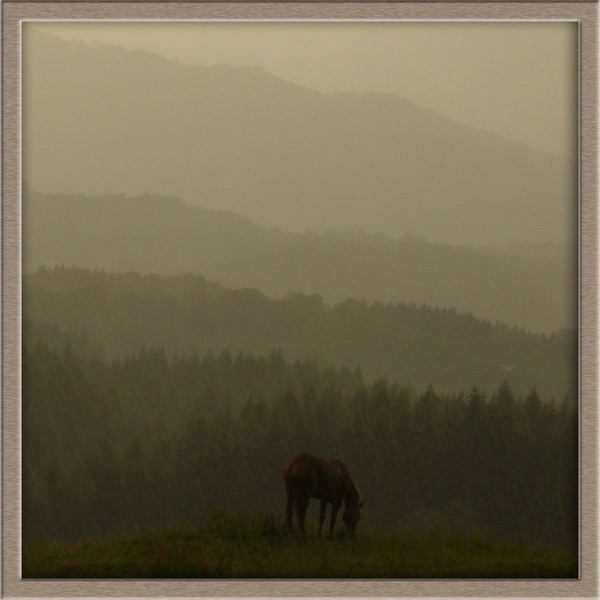 *A Mid Summer Night`s Dream*