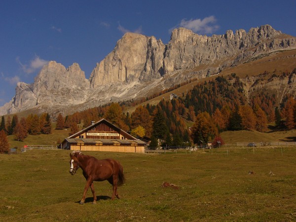 *Autumn in the Dolomites*
