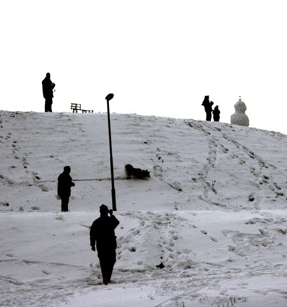 Winter fun