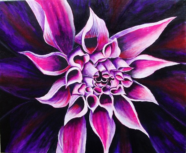 Peony show