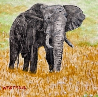 The African Elephant