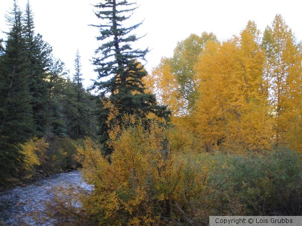 Fall Foilage Sept 2011 My camera 037