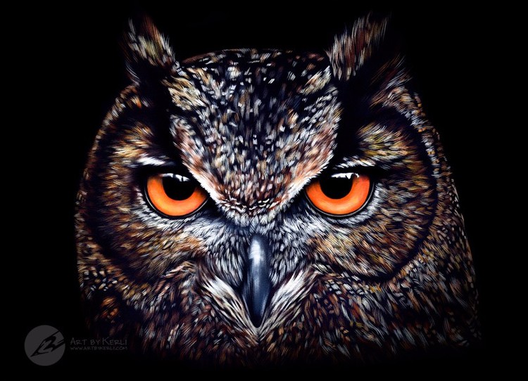 Stare from the night