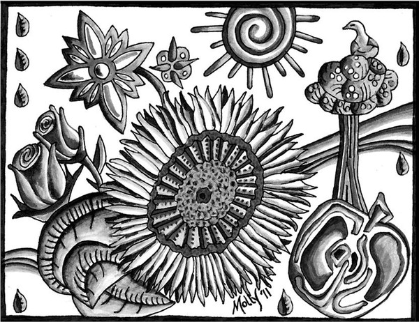 Organic Still Life