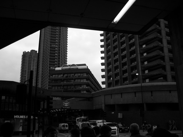 Concrete Jungle