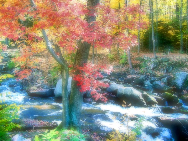 Autum
