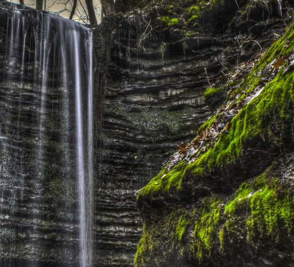 Moss on Rock