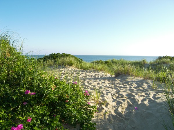 Path Over Suncovered Dune