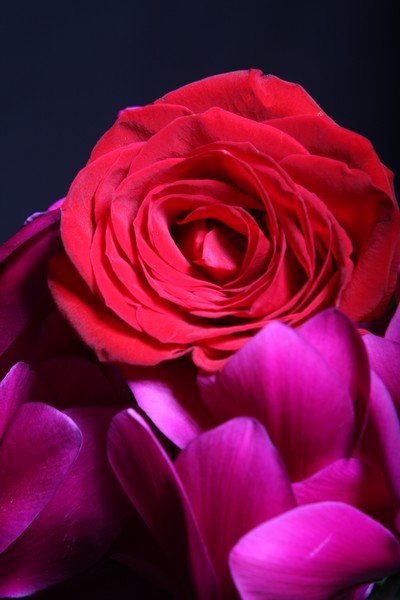 Picture_075