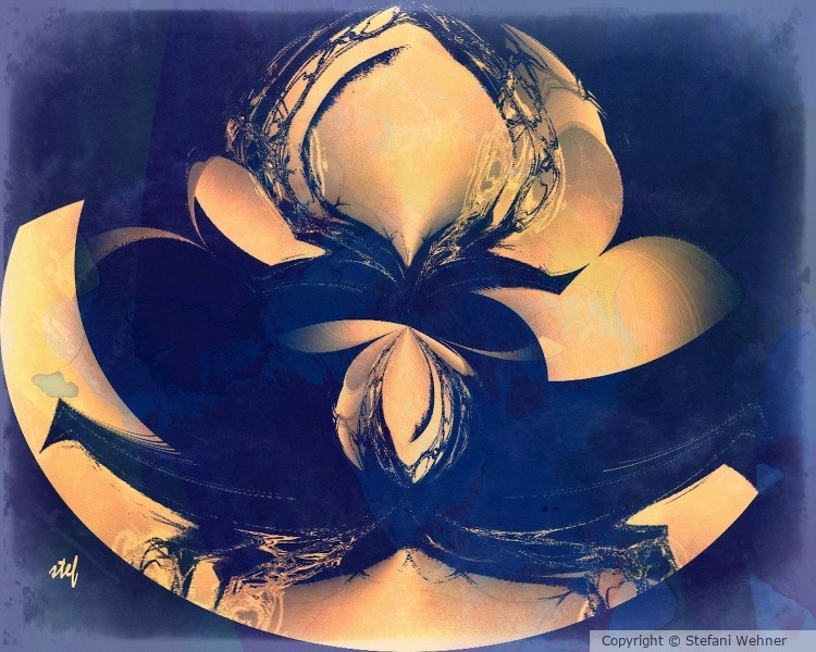 birth of a flower