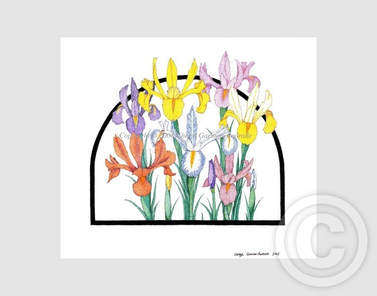 Dutch Irises Pen and Ink Pointillism
