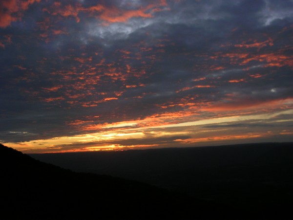 Signal Sunset