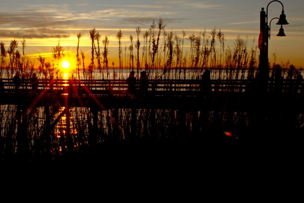 The pier