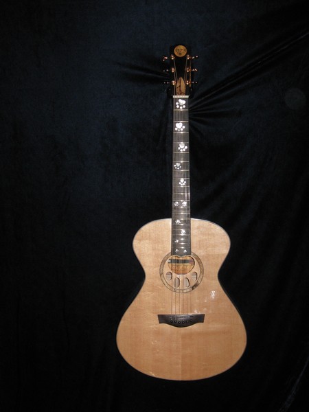 The rest of DOG guitar