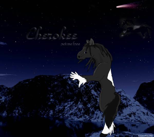 Cherokee Nights