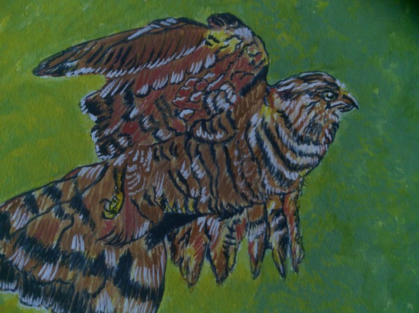 In flight