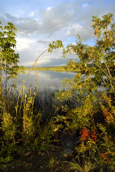 September at the Town Lakes