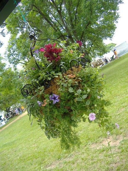 Hanging Basket