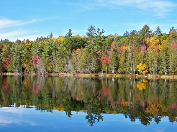 HARTWICK PINES' GLORY LAKE