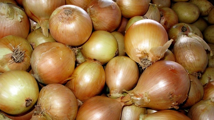 Onions 1366x768