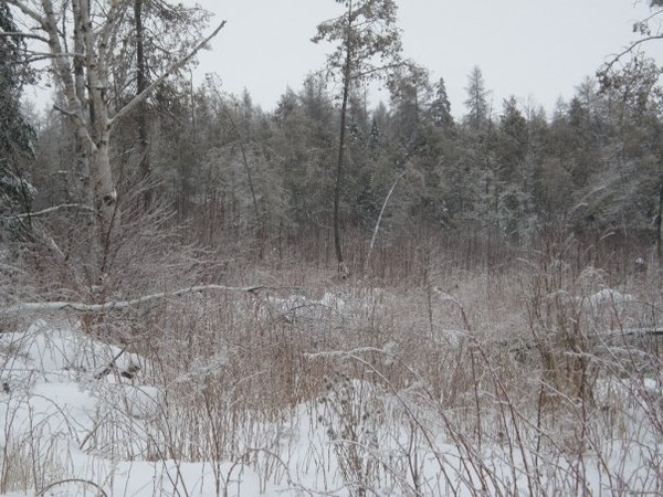 thin ice