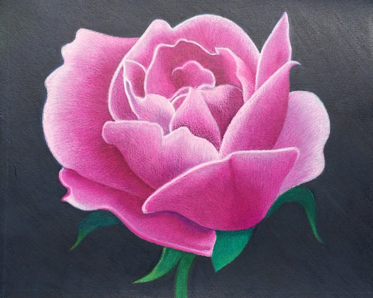 LA VIE EN ROSE