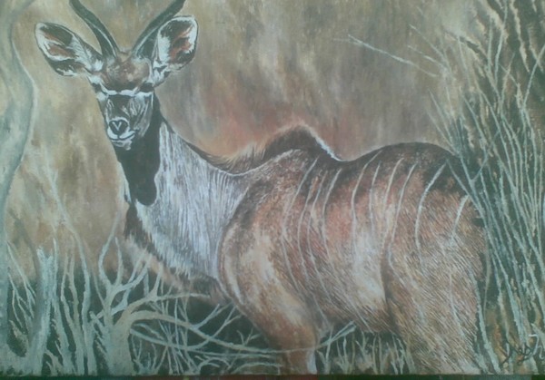 KUDU