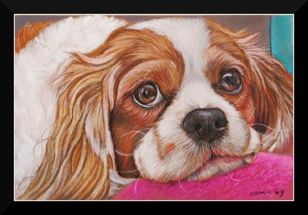 nc art orig king charles spaniel puppy